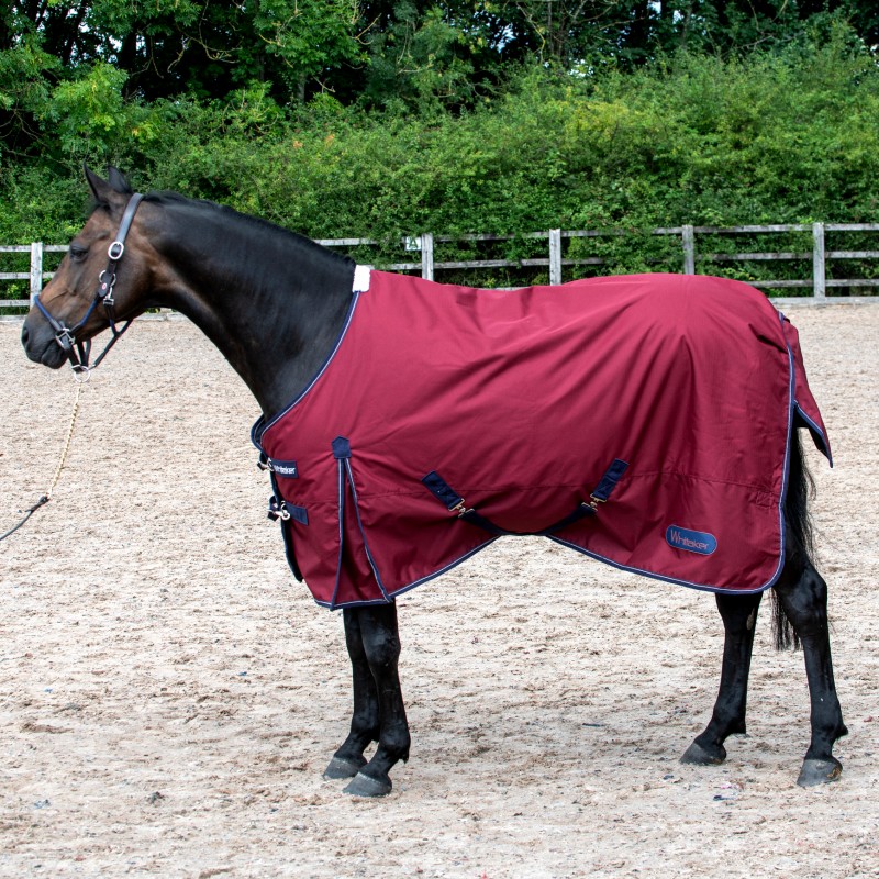 R280 Lupin 100g Turnout Rug in Ruby - Sizes 4'9-7'0